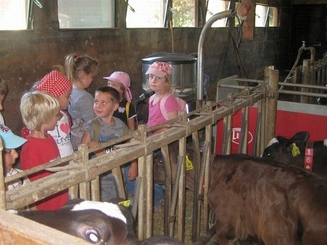 Kinder im Stall